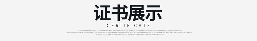 真空干燥箱（PLC分段编程真空烘箱）